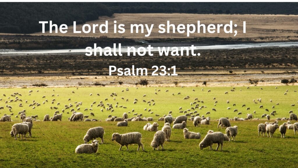 Psalm 23:1-6